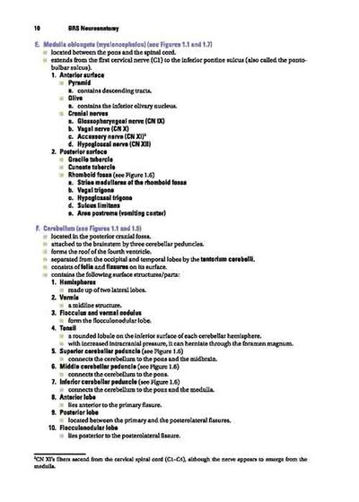 BRS Neuroanatomy (Board Review Series) Sixth Edition 2020